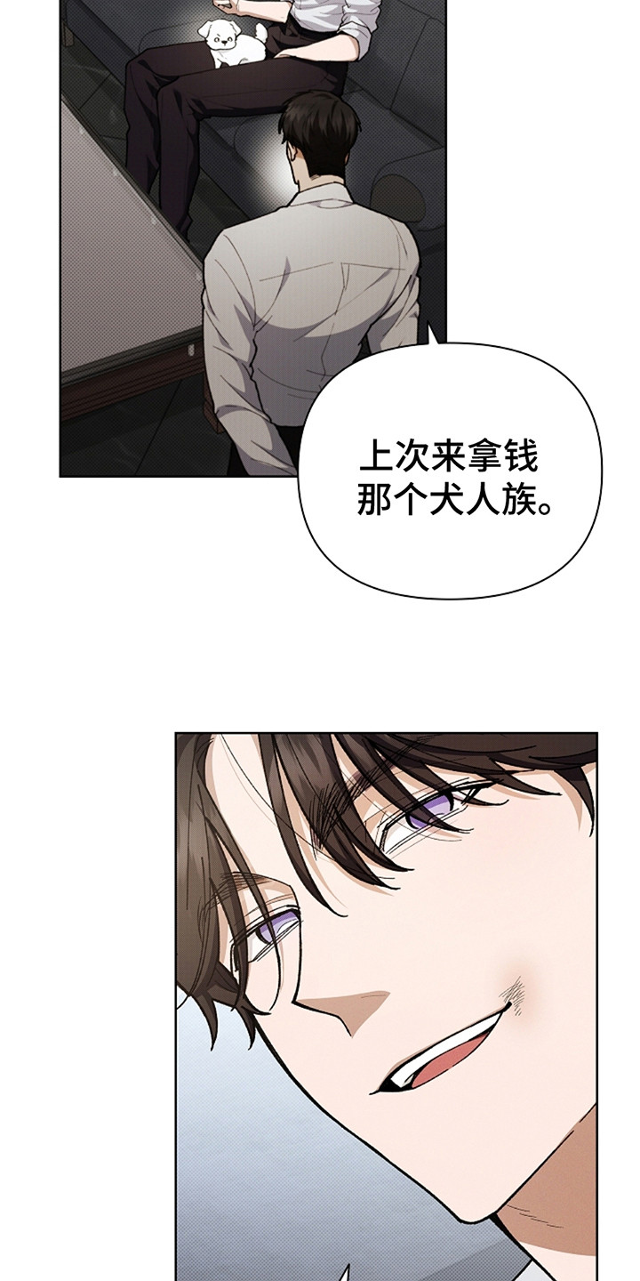 小白狗奇遇记韩漫免费观看全集漫画,第13话2图