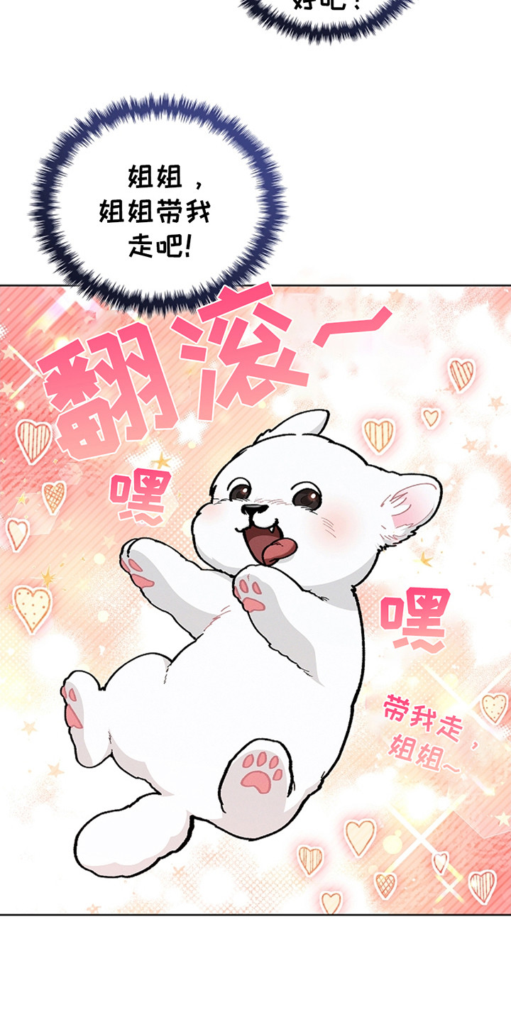 小白狗奇遇记韩漫免费观看全集漫画,第23话1图