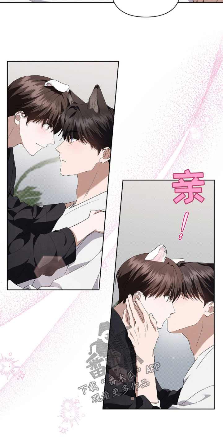 小白狗奇遇记韩漫免费观看全集漫画,第54话2图