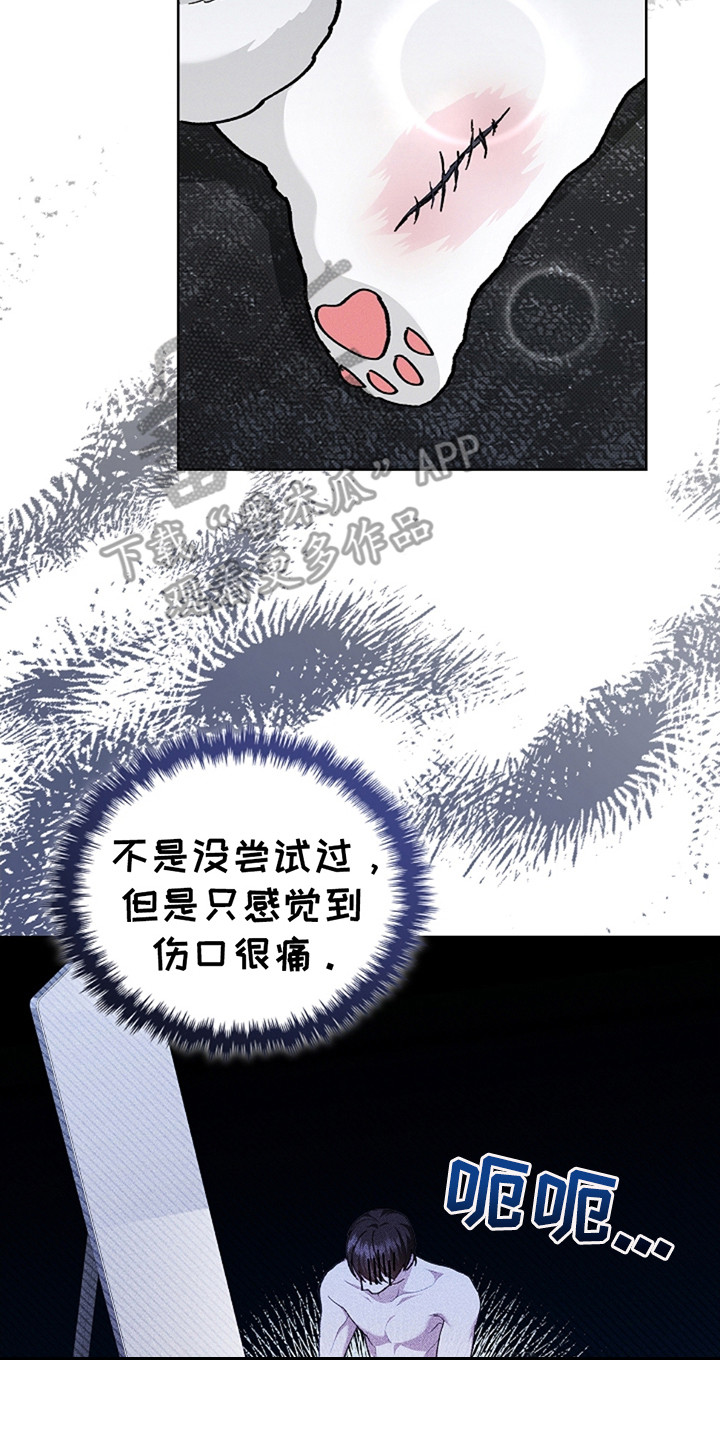 小白狗奇遇记韩漫免费观看全集漫画,第20话1图