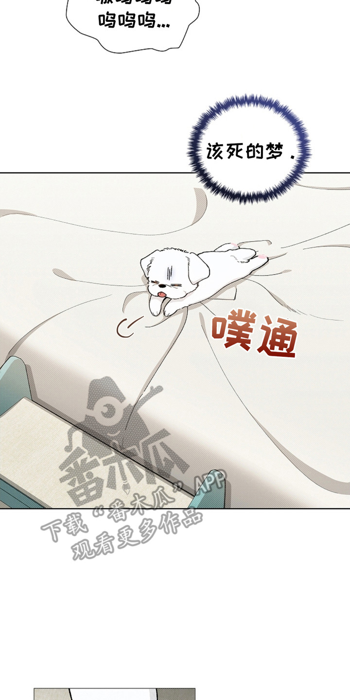 小白狗奇遇记韩漫免费观看全集漫画,第1话1图
