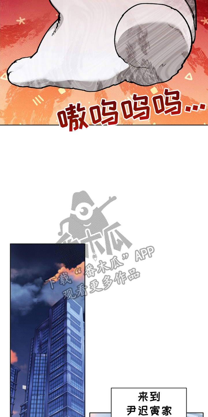 小白狗奇遇记韩漫免费观看全集漫画,第18话2图