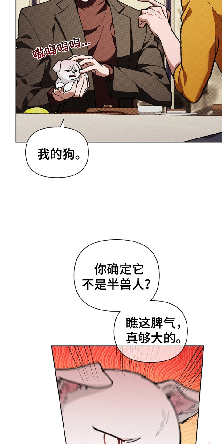 小白狗奇遇记韩漫免费观看全集漫画,第16话2图