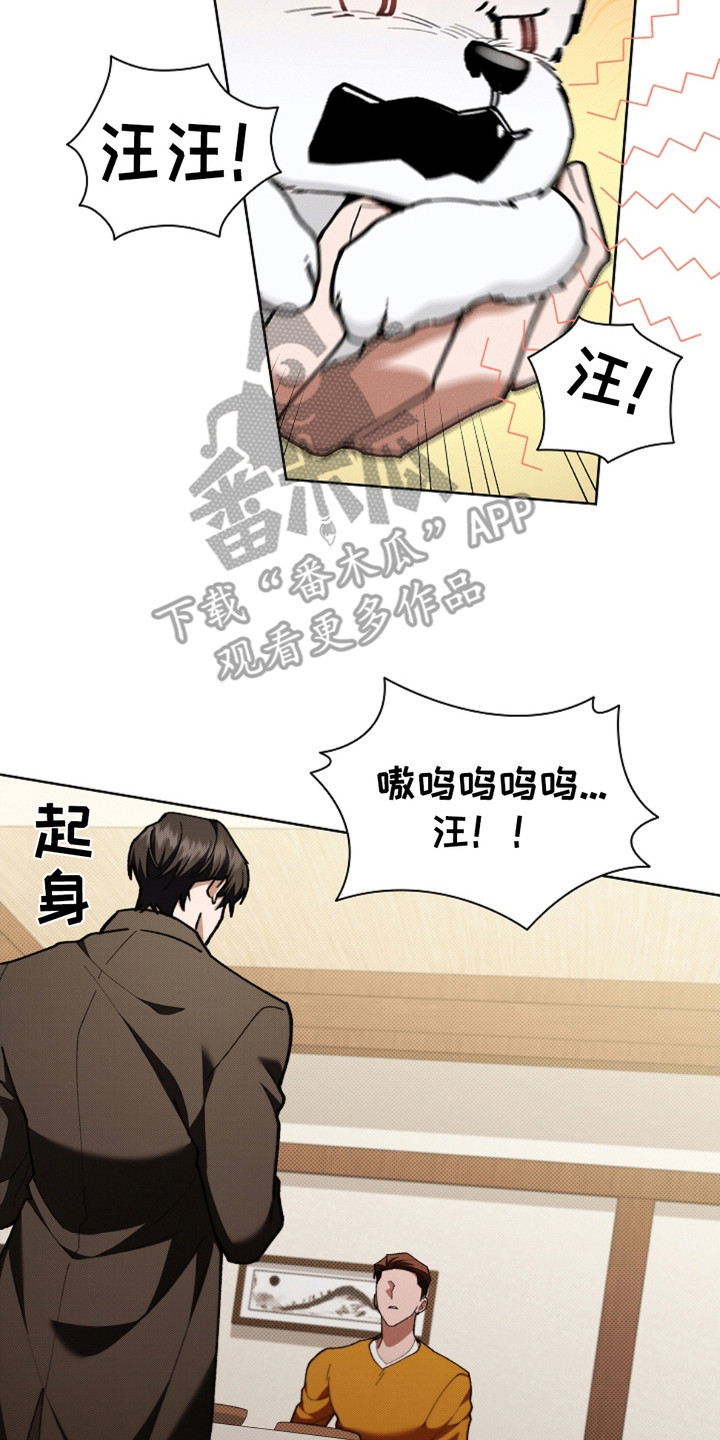 小白狗奇遇记韩漫免费观看全集漫画,第16话1图