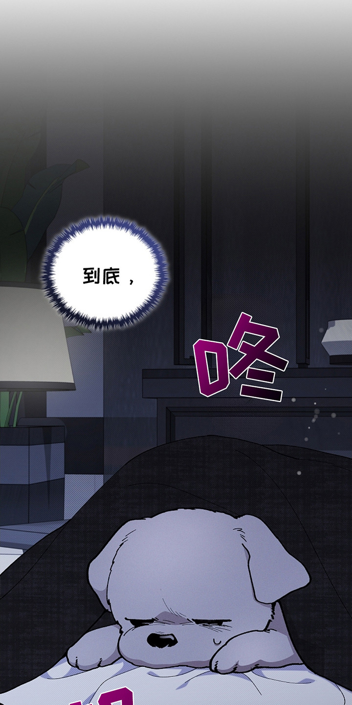 小白狗奇遇记韩漫免费观看全集漫画,第11话2图