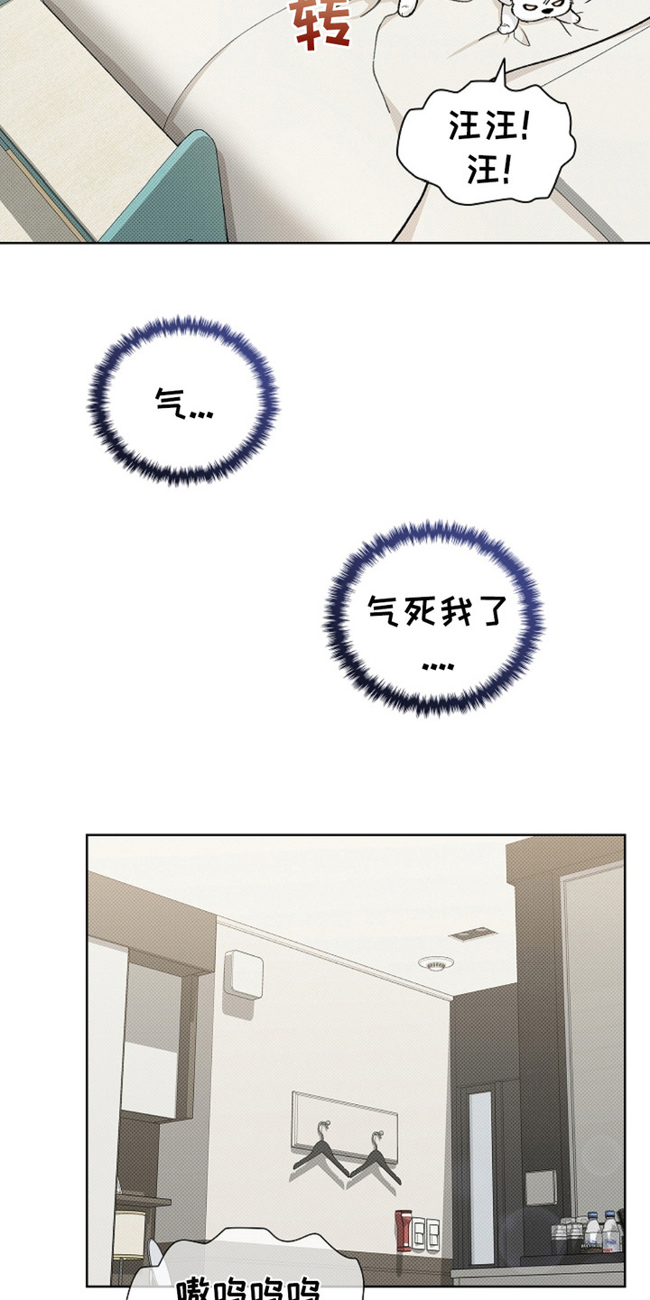 小白狗奇遇记韩漫免费观看全集漫画,第1话2图