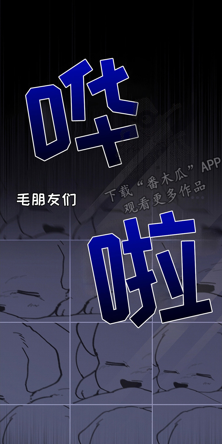 小白狗奇遇记韩漫免费观看全集漫画,第12话2图