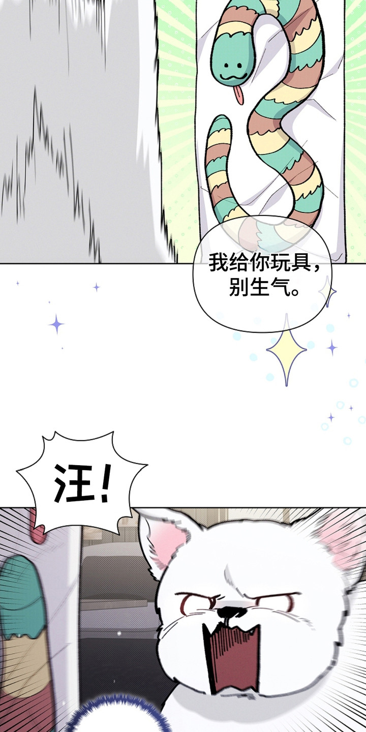 小白狗奇遇记韩漫免费观看全集漫画,第15话2图
