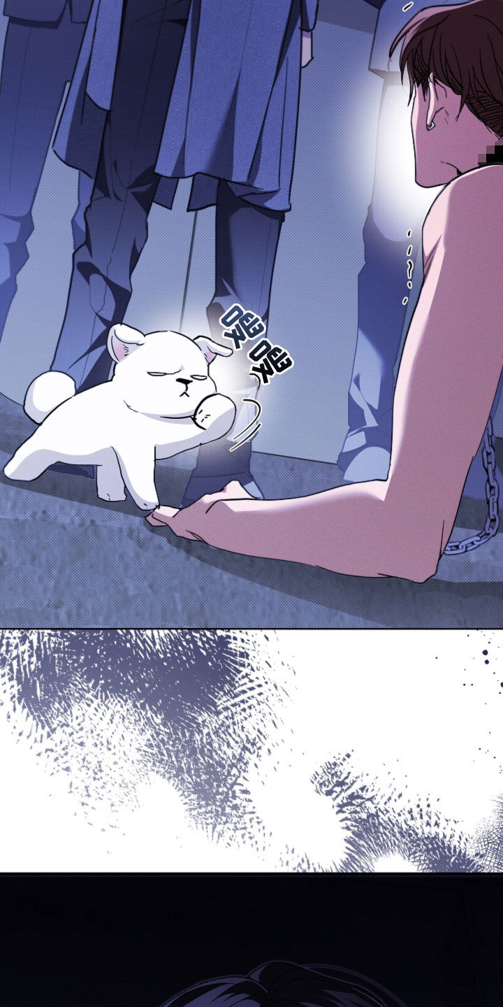 小白狗奇遇记韩漫免费观看全集漫画,第44话2图
