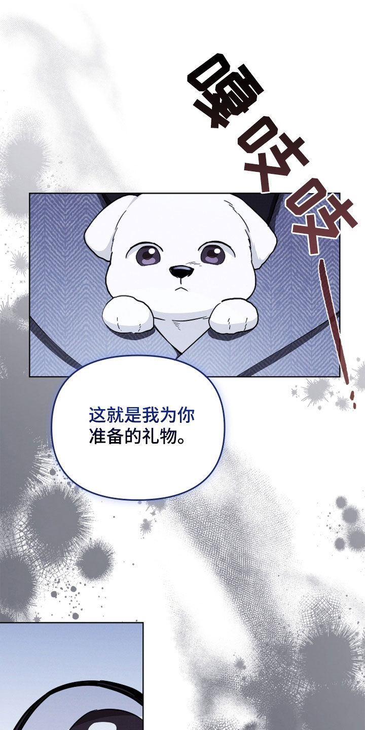 小白狗奇遇记漫画免费阅读漫画,第44话2图