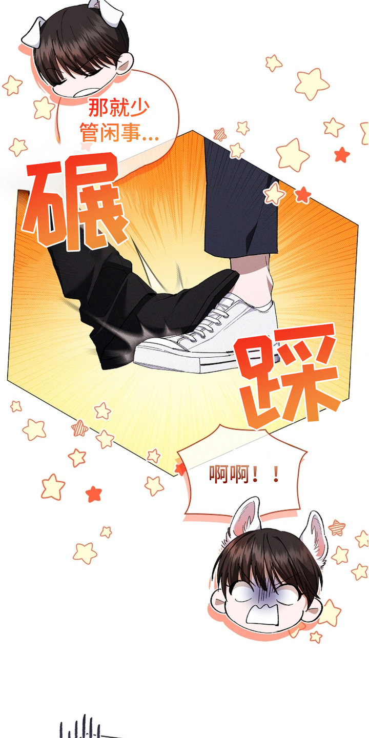 小白狗奇遇记韩漫免费观看全集漫画,第3话1图