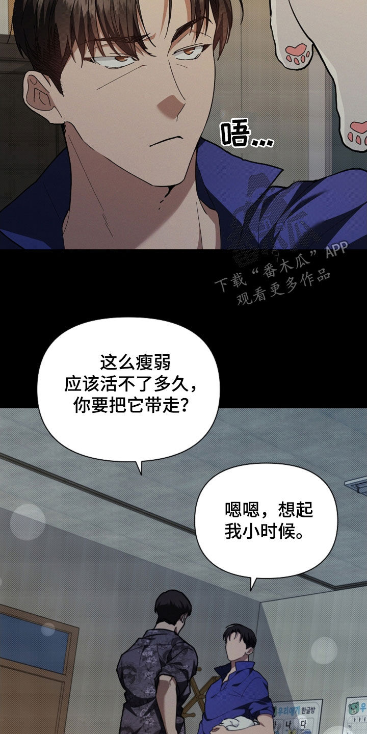 小白狗奇遇记韩漫免费观看全集漫画,第41话2图