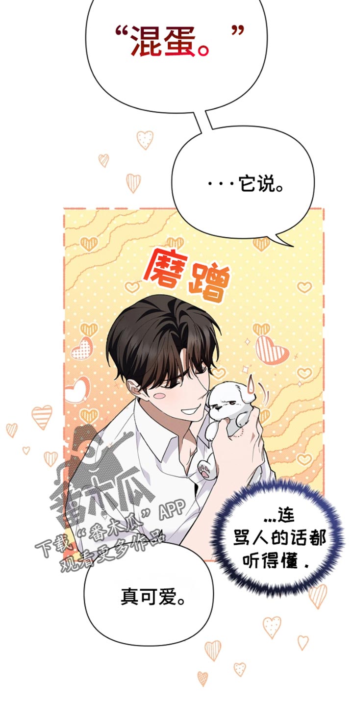 小白狗奇遇记韩漫免费观看全集漫画,第27话1图