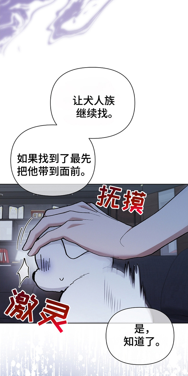 小白狗奇遇记韩漫免费观看全集漫画,第13话1图