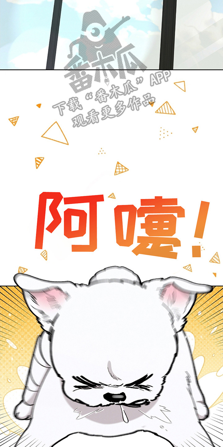 小白狗奇遇记漫画免费阅读最新章节漫画,第13话2图