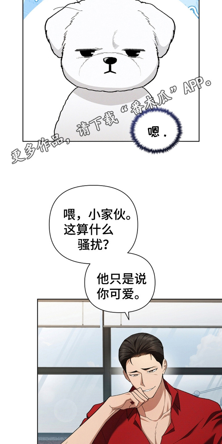 小白狗奇遇记韩漫免费观看全集漫画,第4话1图