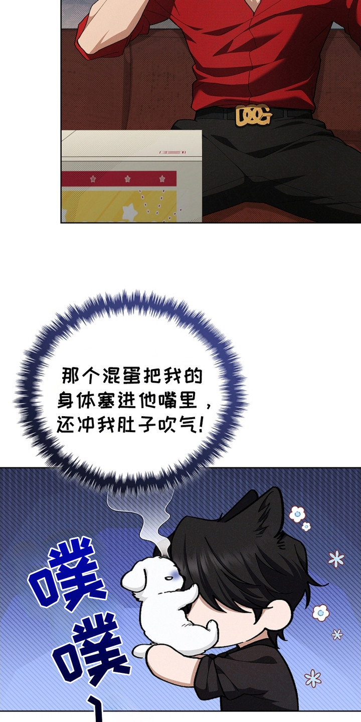 小白狗奇遇记韩漫免费观看全集漫画,第4话2图