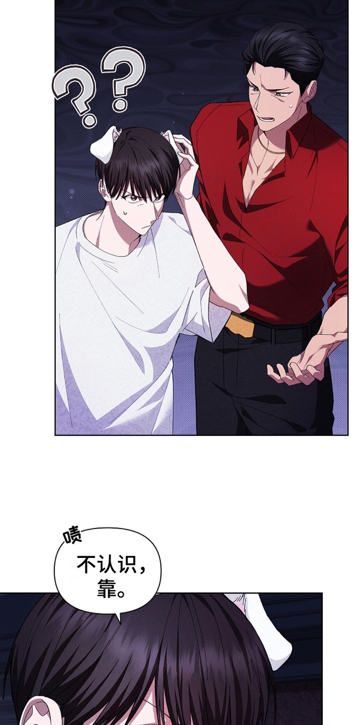 小白狗奇遇记韩漫免费观看全集漫画,第3话1图