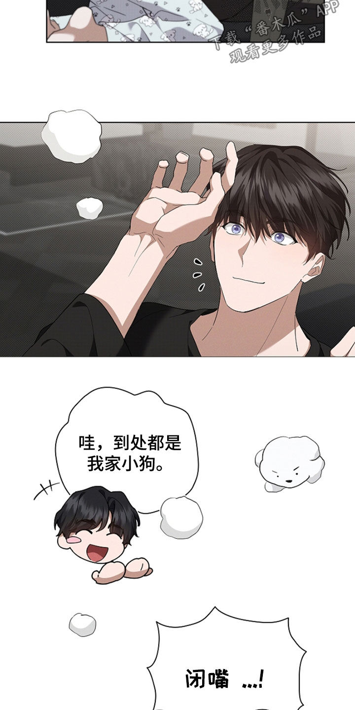 小白狗奇遇记韩漫免费观看全集漫画,第48话2图