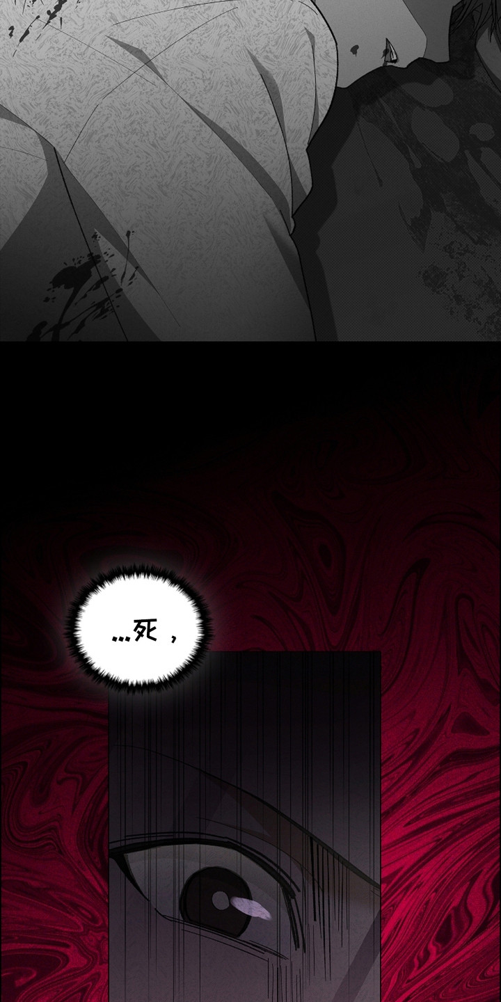 小白狗奇遇记韩漫免费观看全集漫画,第6话2图