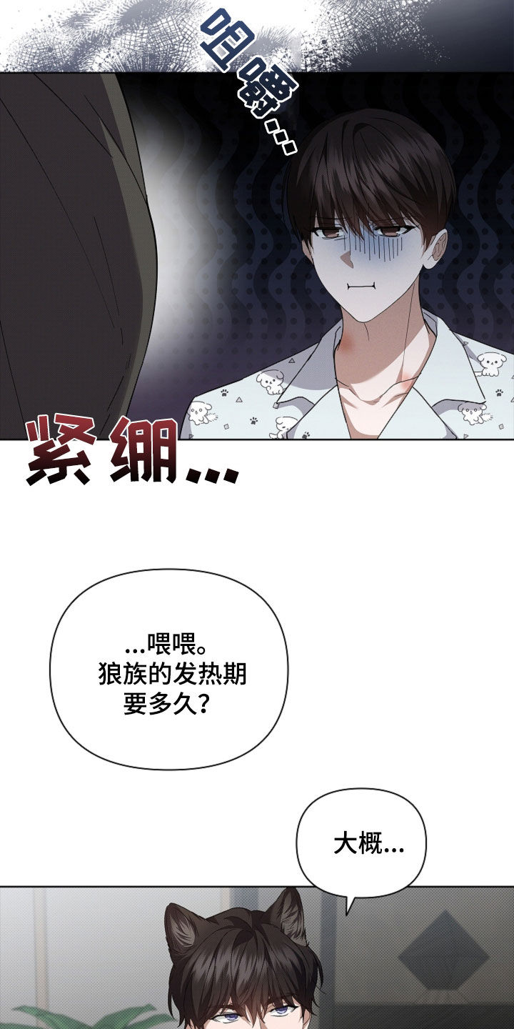 小白狗奇遇记韩漫免费观看全集漫画,第62话1图