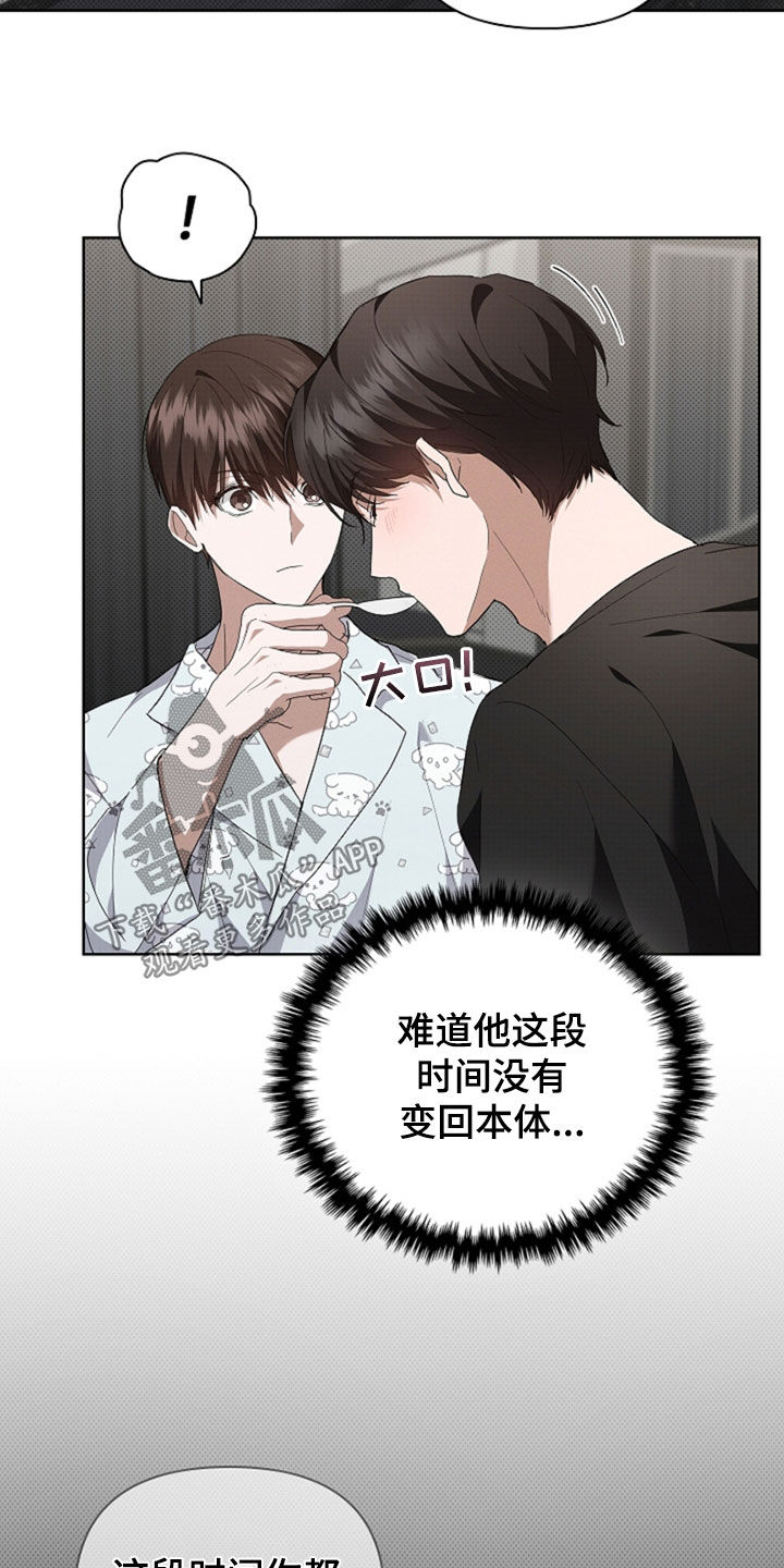 小白狗奇遇记韩漫免费观看全集漫画,第48话2图