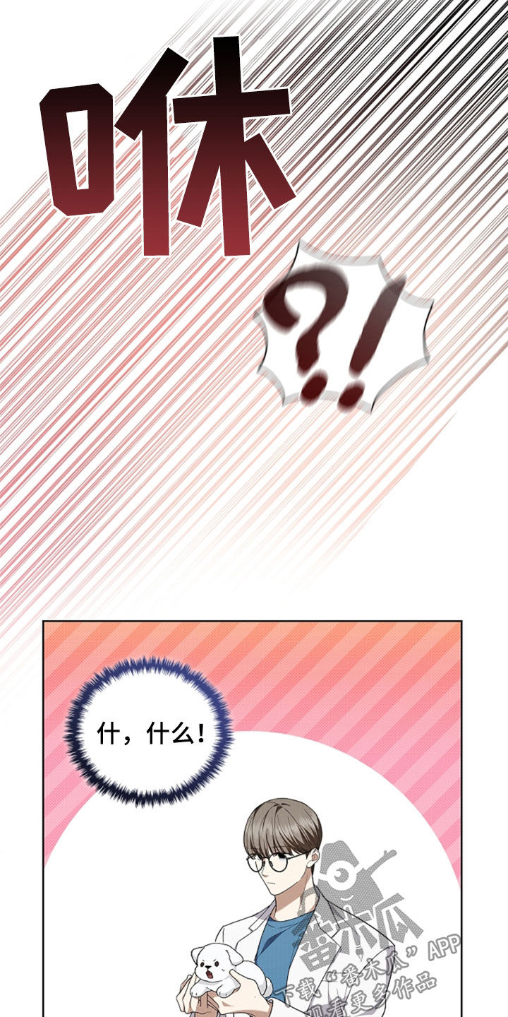 小白狗奇遇记韩漫免费观看全集漫画,第36话1图