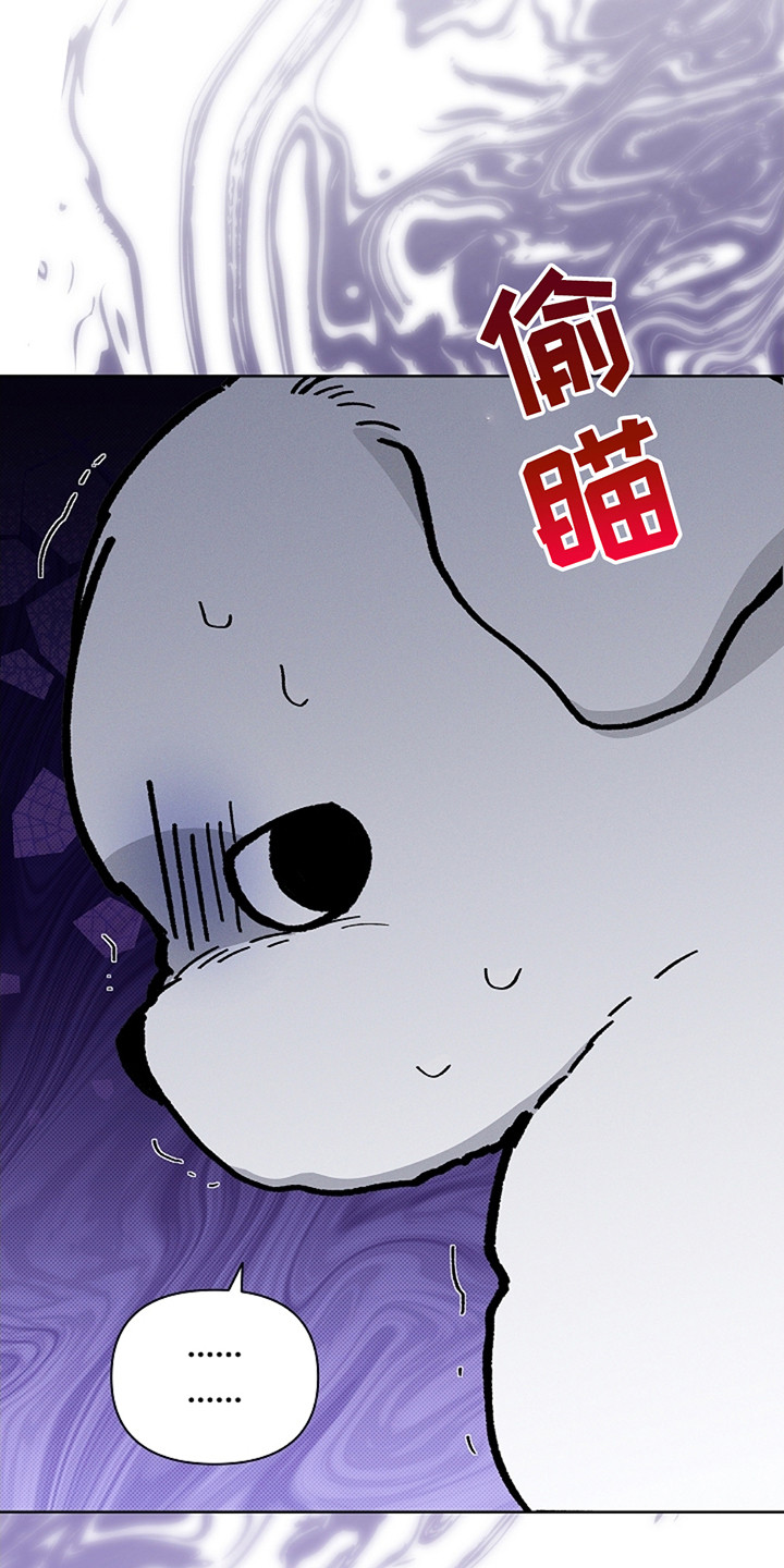 小白狗奇遇记韩漫免费观看全集漫画,第13话2图