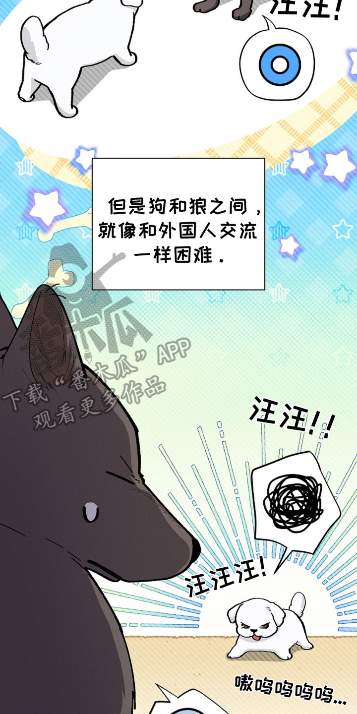 小白狗奇遇记韩漫免费观看全集漫画,第18话1图