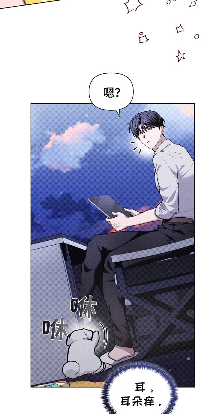 小白狗奇遇记韩漫免费观看全集漫画,第18话1图