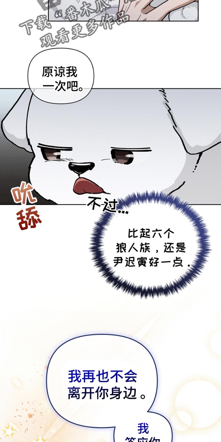 小白狗奇遇记韩漫免费观看全集漫画,第27话2图