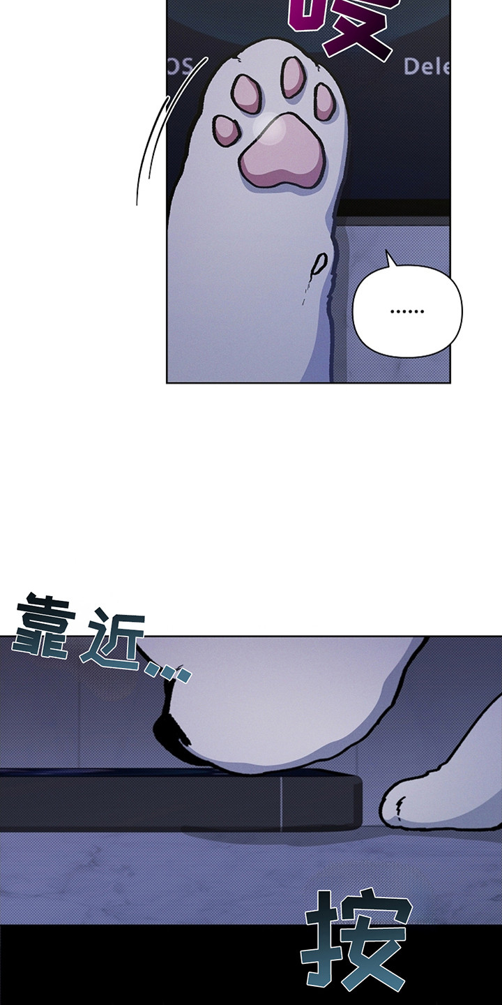 小白狗奇遇记韩漫免费观看全集漫画,第12话1图