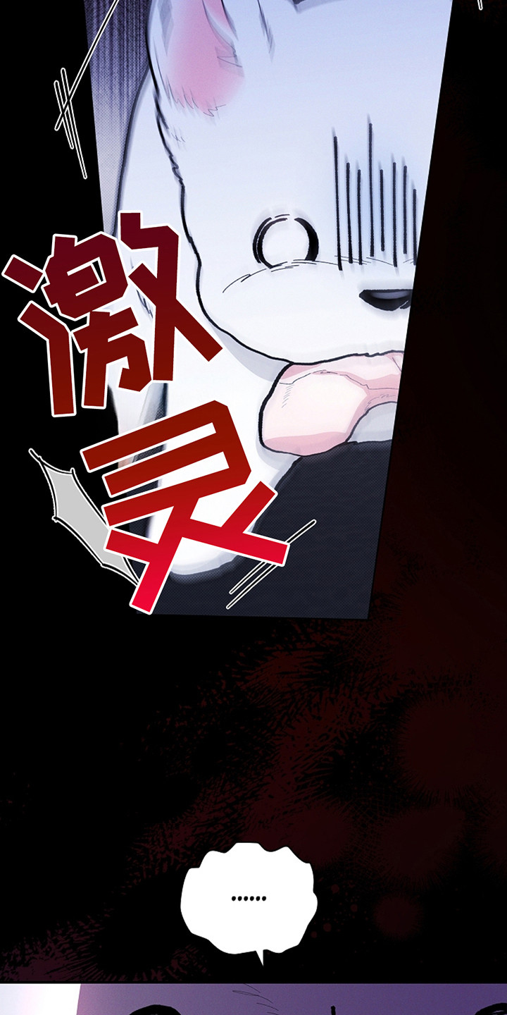 小白狗奇遇记韩漫免费观看全集漫画,第21话2图
