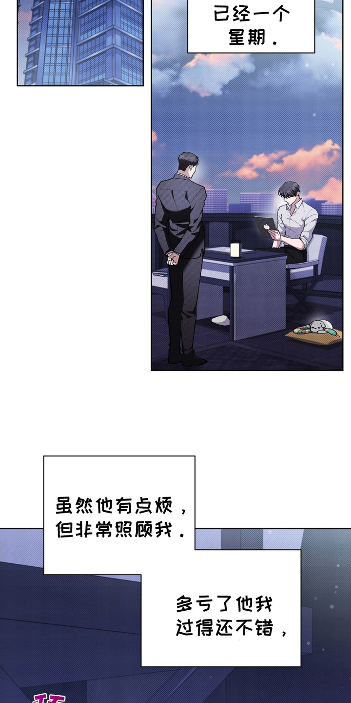 小白狗奇遇记韩漫免费观看全集漫画,第18话1图