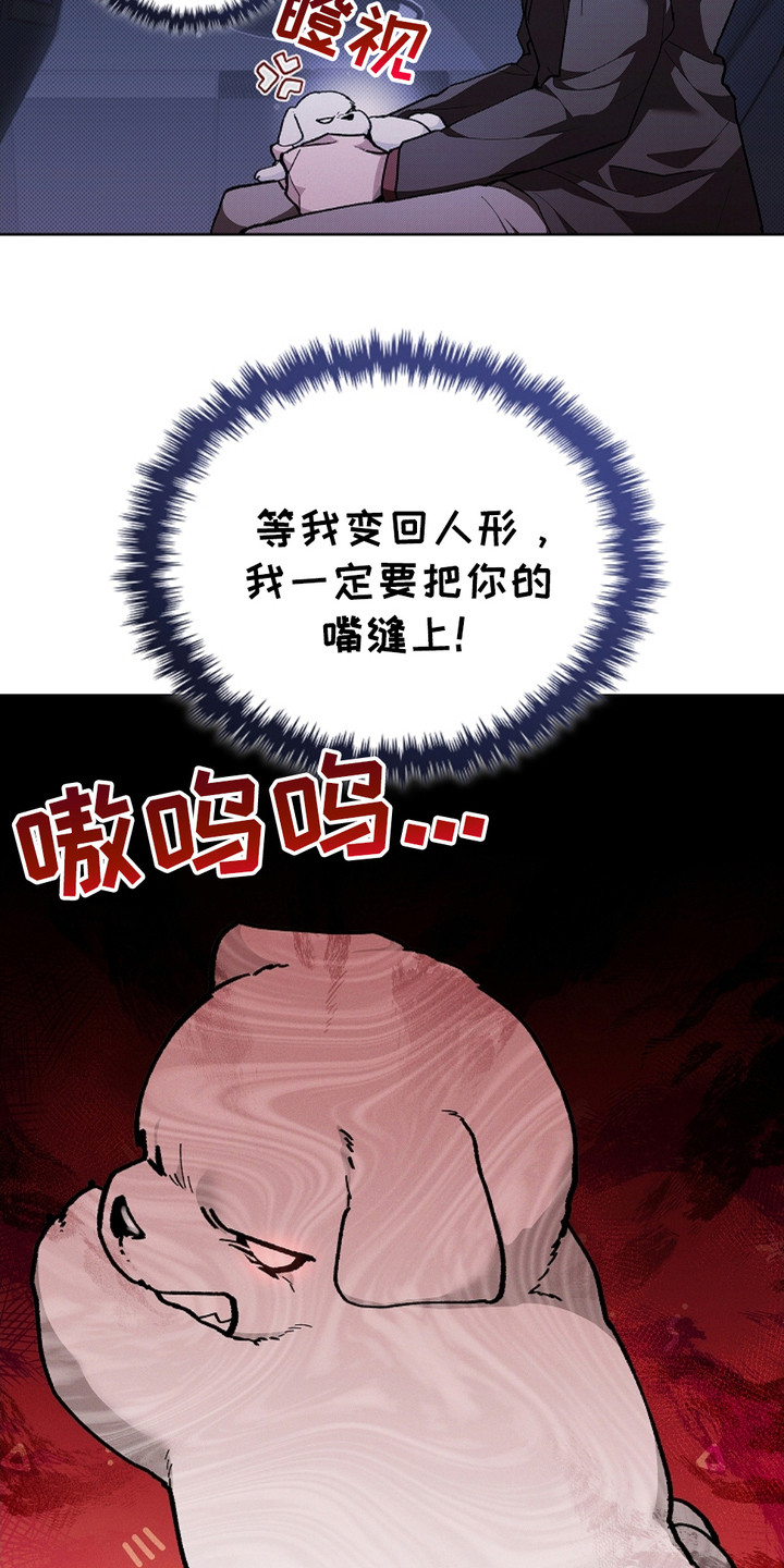 小白狗奇遇记韩漫免费观看全集漫画,第18话1图