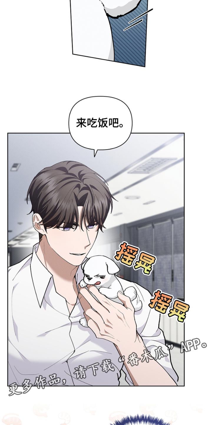 小白狗奇遇记韩漫免费观看全集漫画,第27话2图