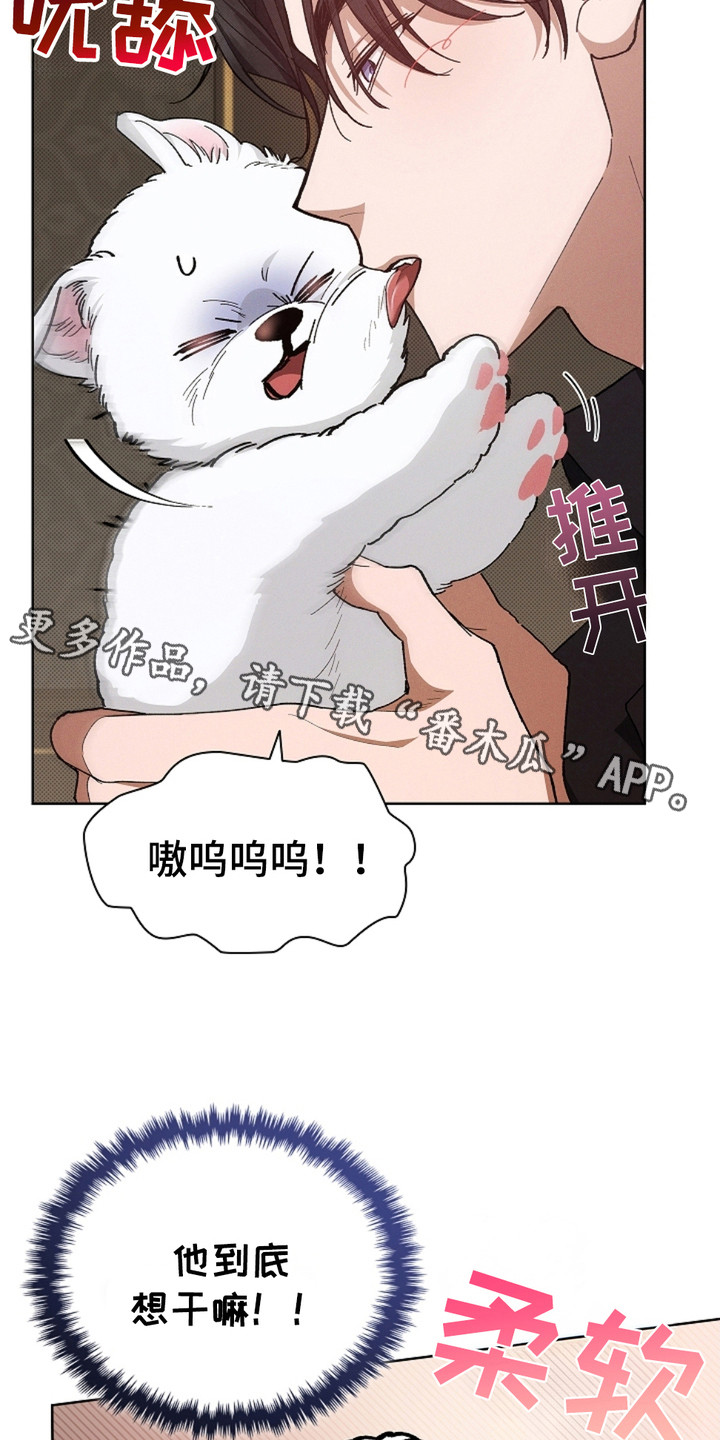 小白狗奇遇记韩漫免费观看全集漫画,第4话1图