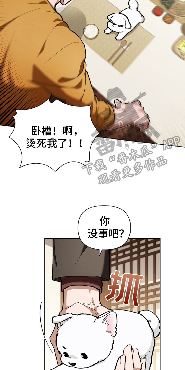 小白狗奇遇记韩漫免费观看全集漫画,第17话2图