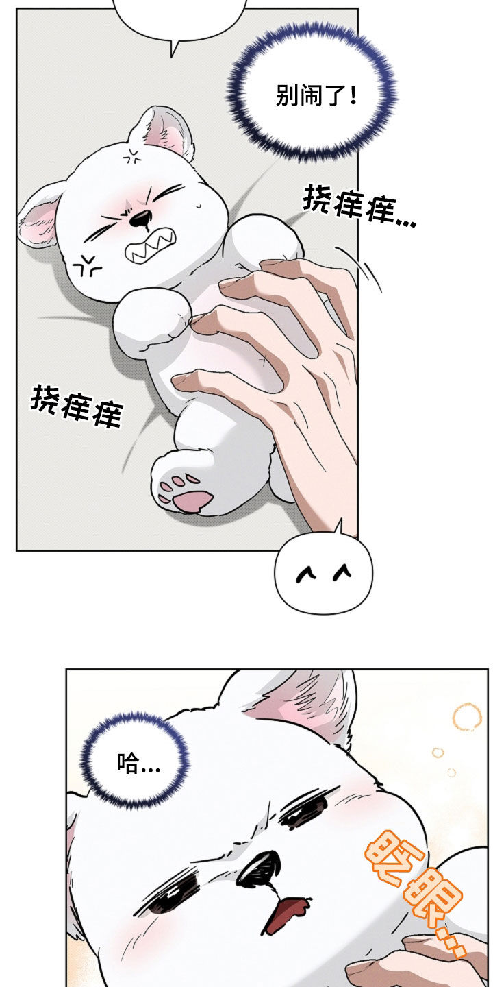 小白狗奇遇记韩漫免费观看全集漫画,第62话1图
