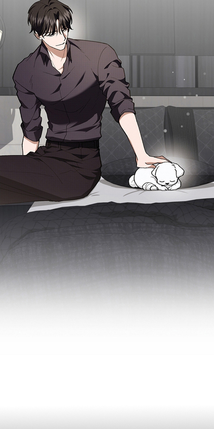 小白狗奇遇记韩漫免费观看全集漫画,第11话1图