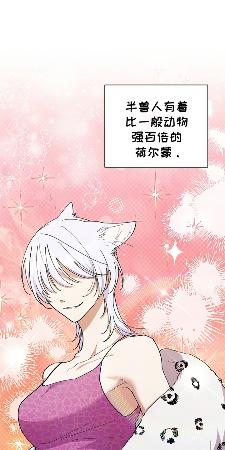 小白狗奇遇记韩漫免费观看全集漫画,第11话1图