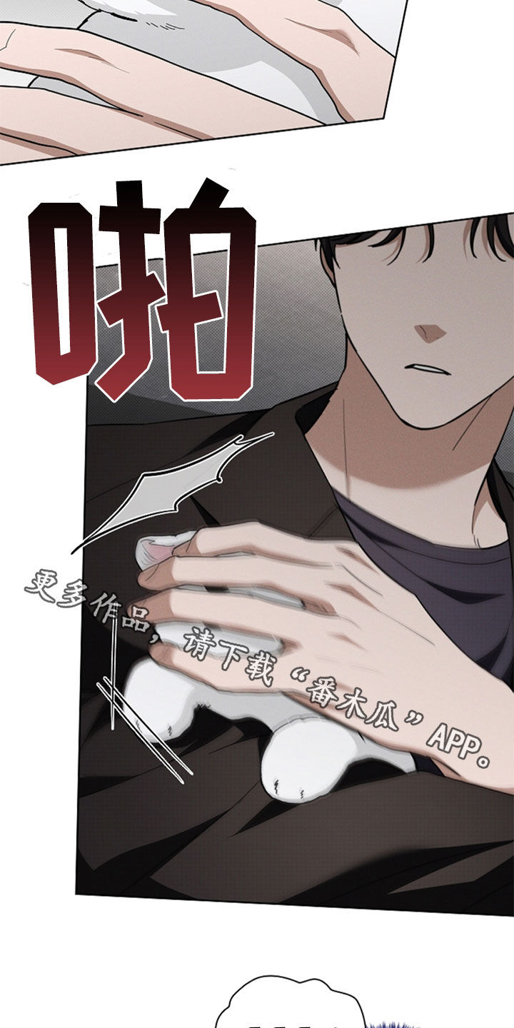 小白狗奇遇记韩漫免费观看全集漫画,第35话1图