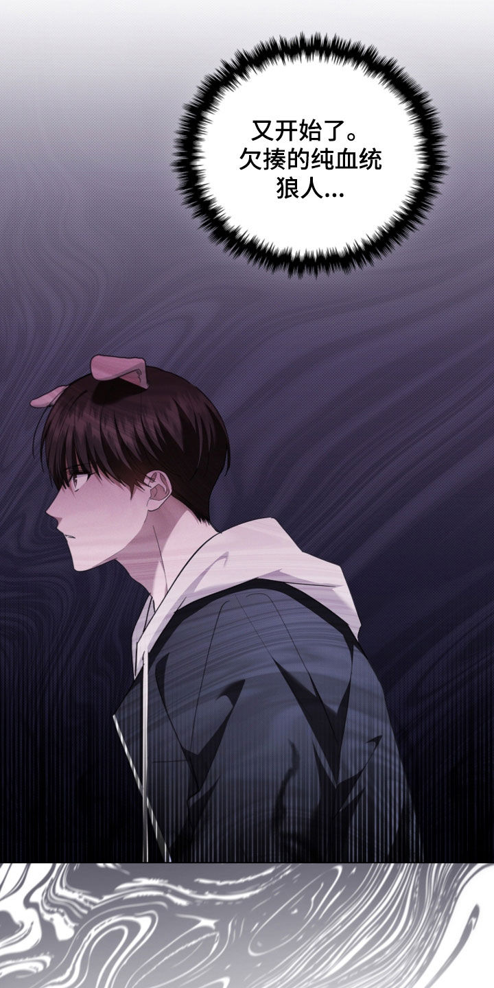 小白狗奇遇记韩漫免费观看全集漫画,第51话1图