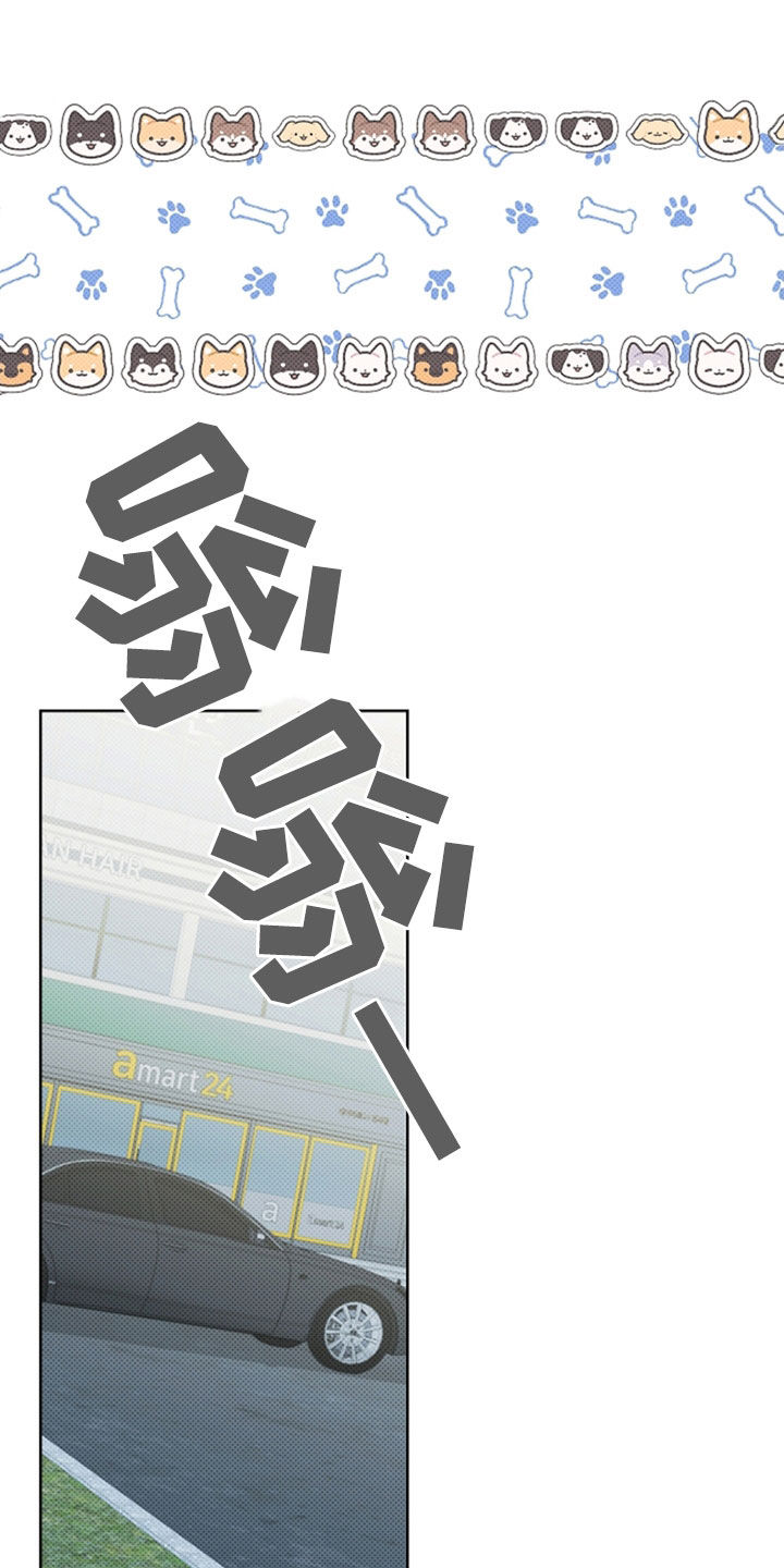 小白狗奇遇记韩漫免费观看全集漫画,第48话2图
