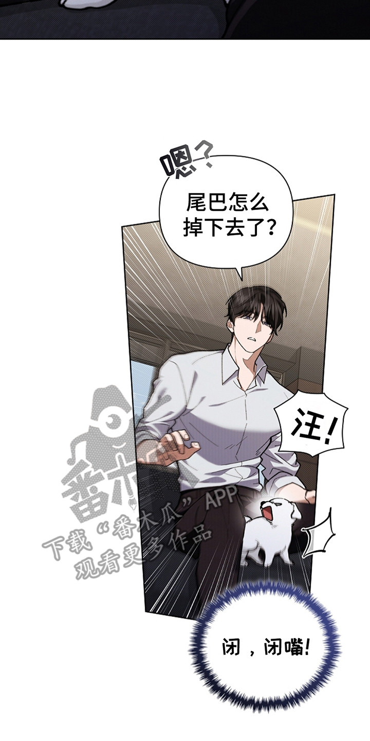小白狗奇遇记韩漫免费观看全集漫画,第13话1图