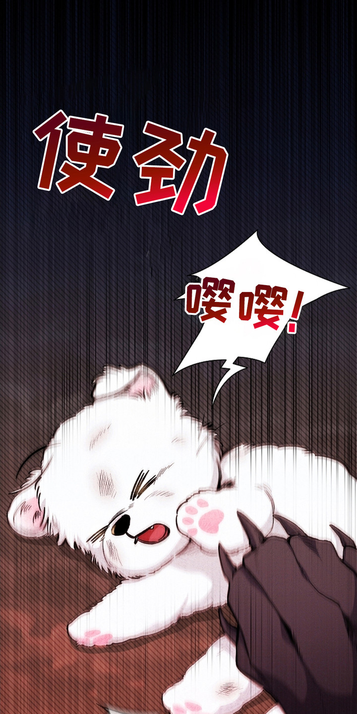 小白狗奇遇记韩漫免费观看全集漫画,第1话1图
