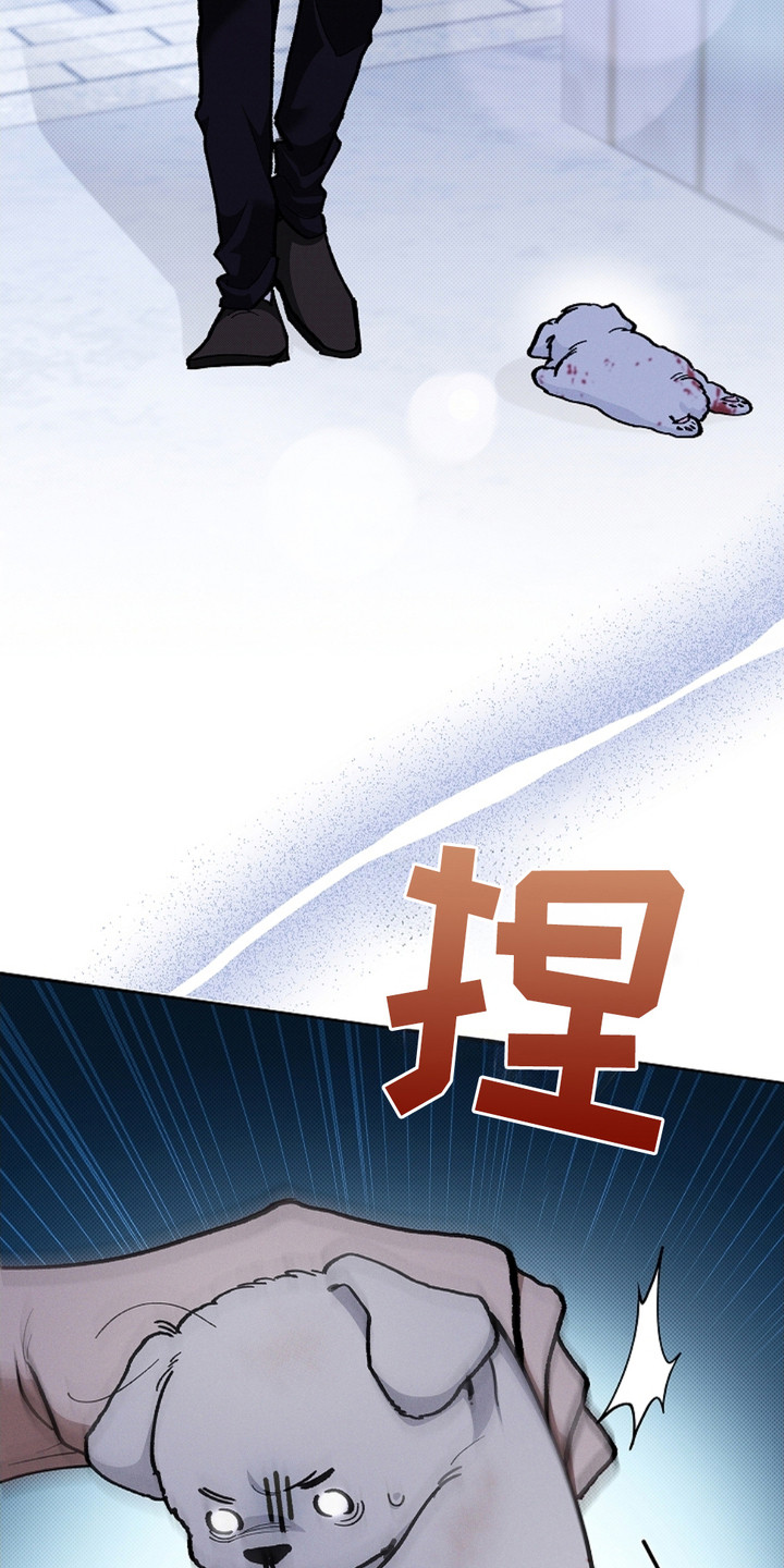 小白狗奇遇记韩漫免费观看全集漫画,第9话1图