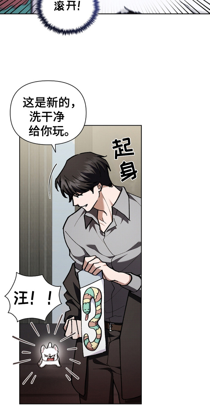 小白狗奇遇记韩漫免费观看全集漫画,第15话1图