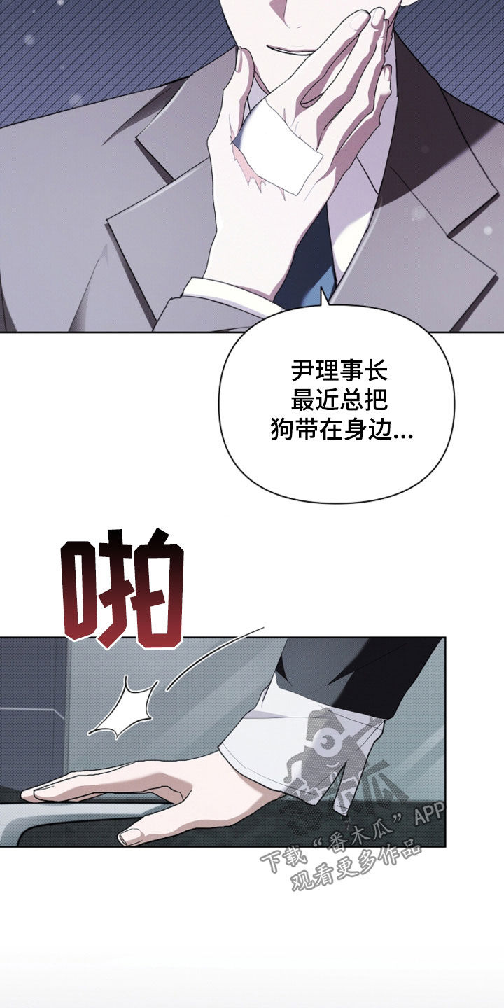 小白狗奇遇记小说名字漫画,第51话2图