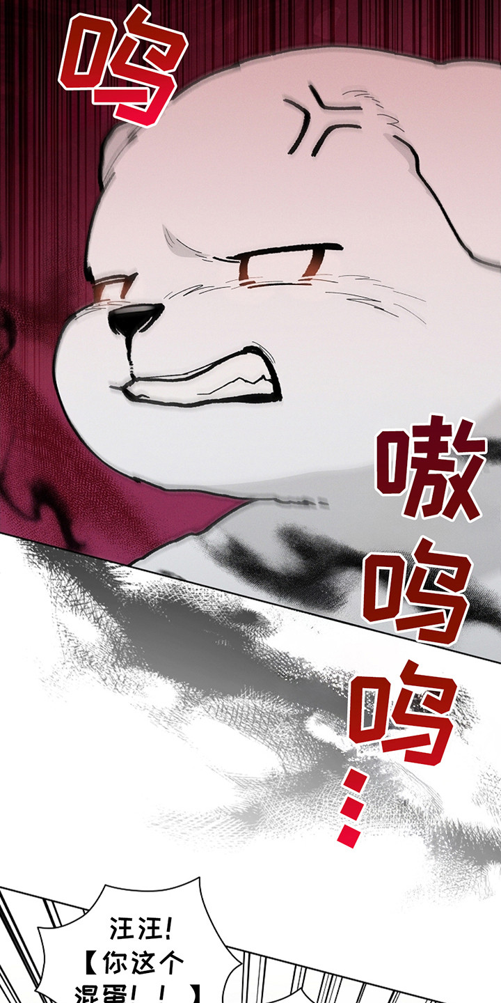 小白狗奇遇记韩漫免费观看全集漫画,第21话1图